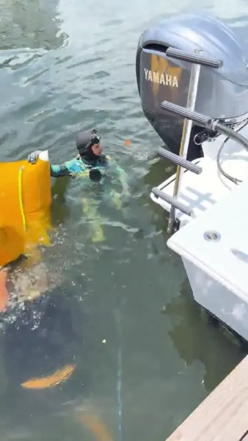 Mergulhador na popa da embarcação